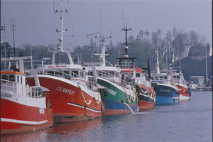 Arrier port Concarneau